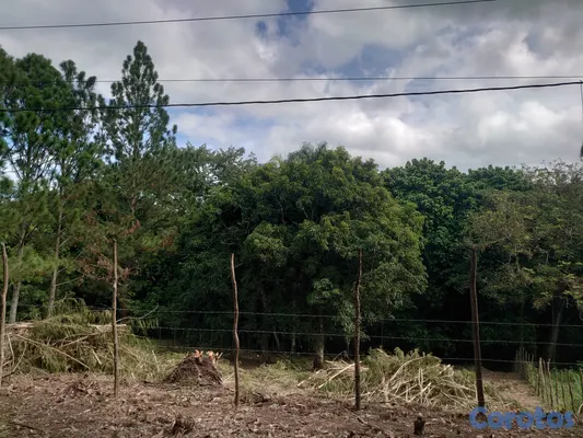 solares y terrenos - SOLAR EN VENTA EN JARABACOA 3
