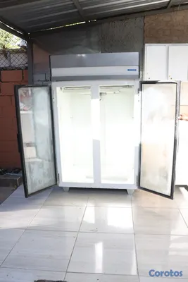 equipos profesionales - carreton de comida rápida. 12