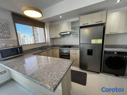 apartamentos - Apartamento en Alquiler en Piantini Amueblado de U 8