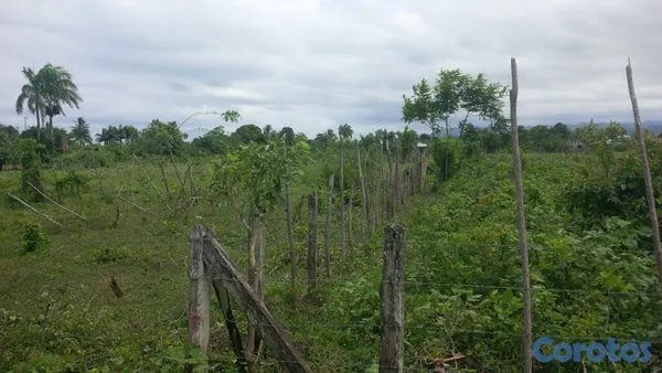 solares y terrenos - Terreno en Sabaneta de Yasica a 7 minutos de cabar 5