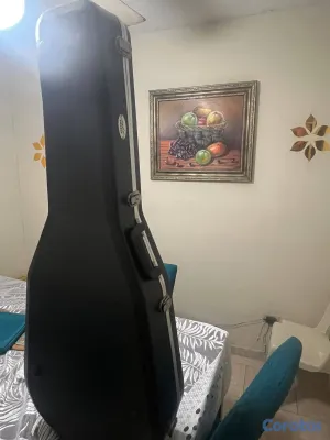 instrumentos musicales - ESTUCHE PARA GUITARRA 3