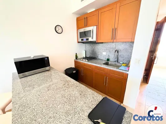apartamentos - FOR RENT: BEACHFRONT 1-BEDROOM APARTMENT IN SOTOGR 9