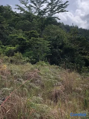 solares y terrenos - Tierra del dueño sin intermediarios está en
proceso de titulacion 5