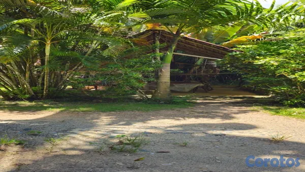 solares y terrenos - 🌿✨ ¡Finca Ecoturística en San Antonio de Guerra! ✨🌿 4