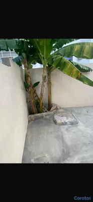 casas - alquilo casa tipo apartamento en el
kilómetro 14 autopista Duarte 

 10