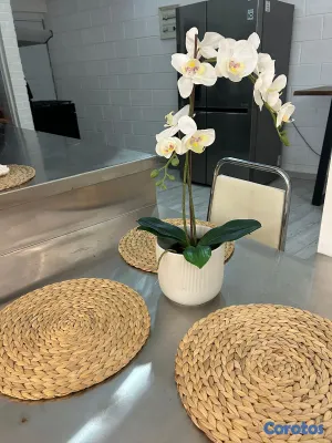 apartamentos - alquiler de apartamento amueblado  5