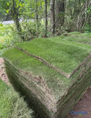 herramientas, jardines y exterior - Vendo todos tipos de paletas de zacate.

San Agustín 
Bermuda.
Zoysia.
 13