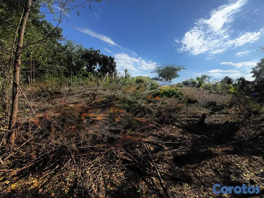 solares y terrenos - Solar En Venta En Montecristi. Con Una Superficie  4