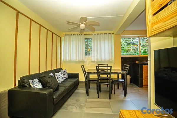 apartamentos - Apart-Studio en  Playa Las Ballenas. 2