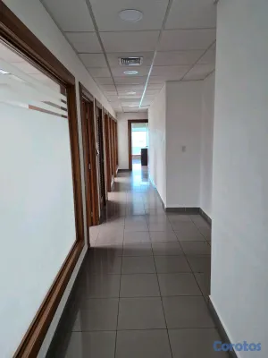 oficinas y locales comerciales - ALQUILO EN TORRE CORPORATIVA,   ESPACIOSA Y ELEGANTE OFICINA EN LA ESPERILLA  2