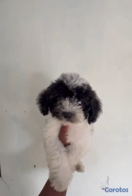 seller-logo