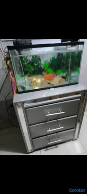 animales y mascotas - pecera completa  3