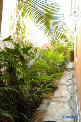casas - Casa de Lujo en Venta en Arroyo Hondo II – Cerca del Jardín Botánico ID 110 10