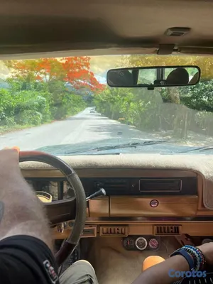 jeepetas y camionetas - Jeep *Grand Wagoneer* 1988 en muy buenas condiciones 10