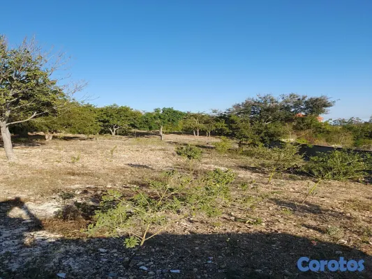 solares y terrenos - Se Vende Terreno con su Certificado de Título. 3