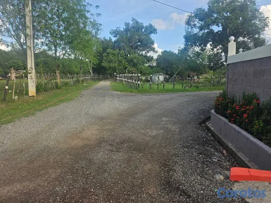 solares y terrenos - Terreno En Venta En La Joya, San Francisco De Maco 4
