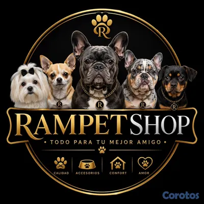 animales y mascotas - bulldog francés bip rope Floffy  2