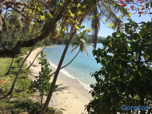 solares y terrenos - Vendo Terreno entre La Pascuala-Río los Cocos,SAMANÁ,Rep.Dominicana  14