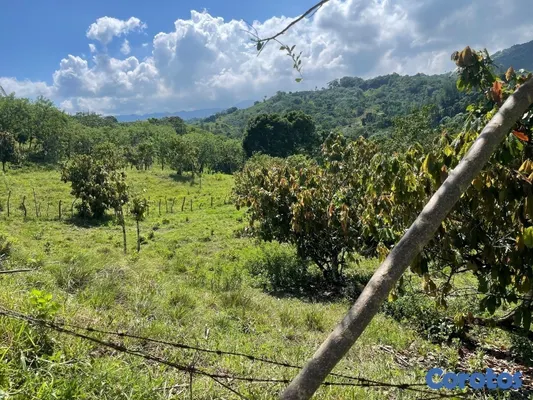 solares y terrenos - Terreno en lugar privilegiado solo uno 2611 MT 
Título Deslindado  6