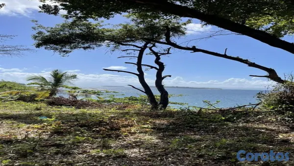 solares y terrenos - Terreno Exclusivo Frente al Mar en Carenero, Samaná 5