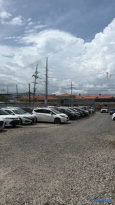 SE NECESITA SECRETARIA PARA
EMPRESA IMPORTADORA DE VEHÍCULOS 