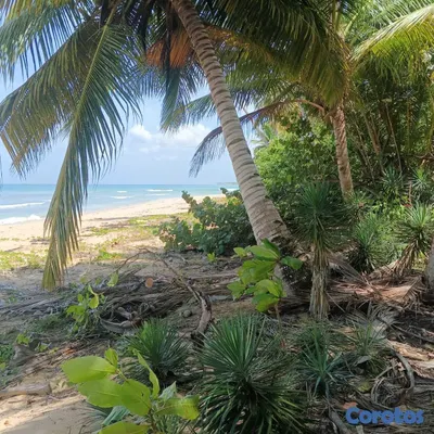 solares y terrenos - Solar de 1800 m² en 1ra Línea de Playa en Cosón Las Terrenas 5