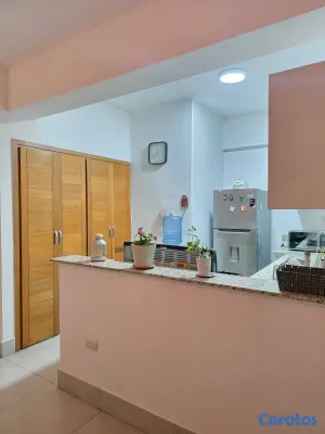 apartamentos - alquiler de apartamento amueblado en el millon  6