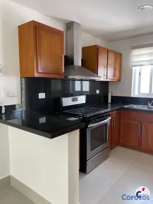 penthouses - Amplio Penthouse en Renta  de 3 Habitaciones + Ter 8