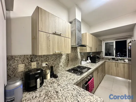 apartamentos - Alquiler de apartamentos totalmente amueblado en Evaristo Morales 12