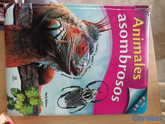 libros y revistas - Libros en venta!  12