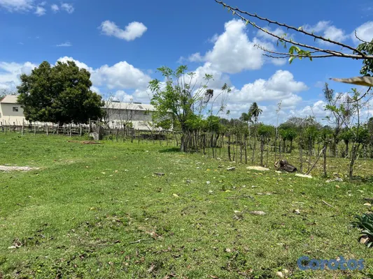 solares y terrenos - Vendo Terreno para NAVES, APTOS en PEDRO BRAND, 45 2