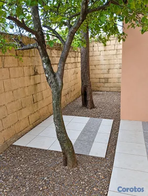 casas - Casa de un nivel para demoler con solar de 161 met 12