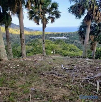 solares y terrenos - Vendo Finca de AGUACATE en Paraíso, BARAHONA, 255, 10