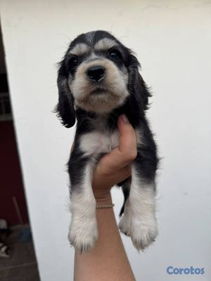 seller-logo