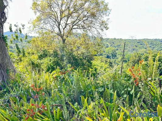 solares y terrenos - PROYECTO DE SOLARES EN HATO DAMAS, SAN CRISTÓBAL 2