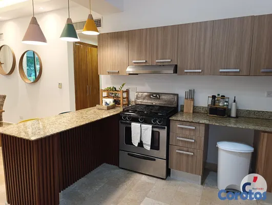apartamentos - DEPARTAMENTO EN RENTA ANUAL, CAP CANA, CIUDAD LAS  19