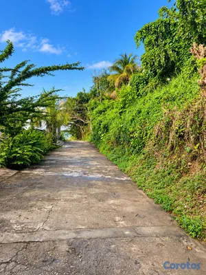 solares y terrenos - Solar 1,523 m² con vista panorámica en Pueblecito, Las Terrenas – US$122,000 9