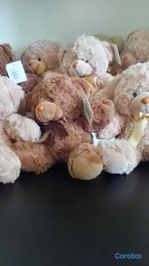 Osos de peluche, bandejas y otros