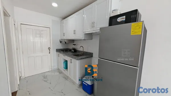 apartamentos - Se RENTA apartamento de una habitacion amueblado e 9