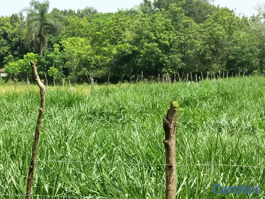 solares y terrenos - finca de 3000 tareas con vocación agrícola en Monte Plata  4
