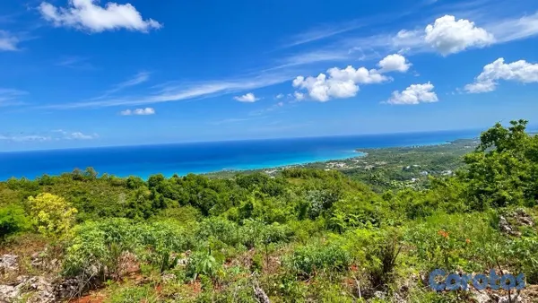 solares y terrenos - Terrenos en La Noria, Cosón desde US$70,000 – Con y sin vista al mar 6