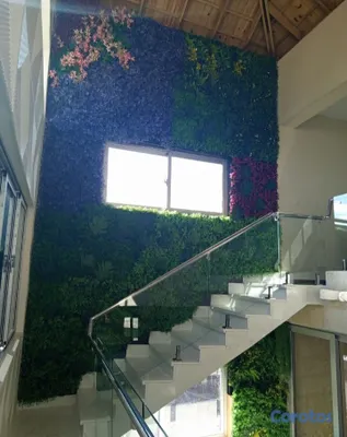 servicios profesionales - Fabricación mantenimiento de jardín vertical 6