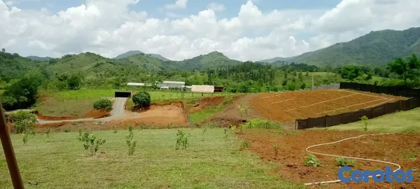 solares y terrenos - Vendo Hermoso Terreno/Finca en Villa Altagracia, Proyecto Hacienda Maria.  2