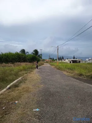 solares y terrenos - Quintas de Venecia, las canelas  2