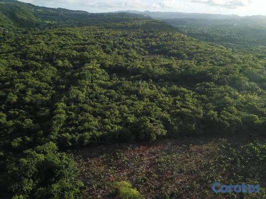 solares y terrenos - En Venta Solar en las Galeras Samana 2