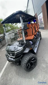 carros 🏎 de golf ⛳️ super deportivos🏅 y lujosos✨️precios  únicos escríbeme ya 