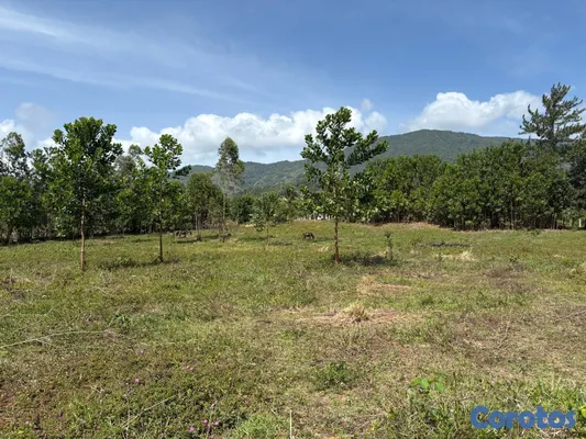 solares y terrenos - Los mogotes, Villa Altagracia. Terreno para construir la villa de tus sueños. 5