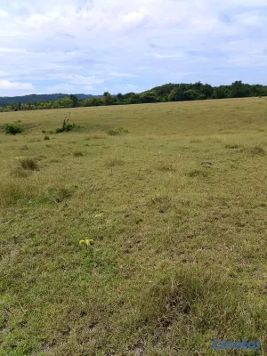 solares y terrenos - se vende terreno en punta cana bávaro ideal para Villa o 🏡 casa de campo  2