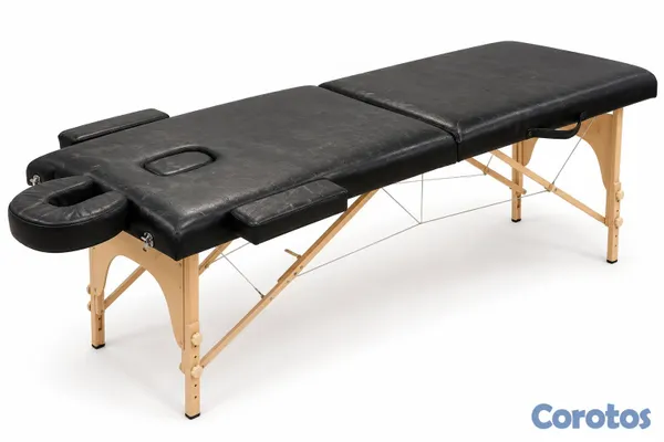 Salud y Equipamiento Médico - Mesa portátil de masaje plegable con accesorios 2