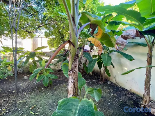 casas - Casa de 4 habitaciones en venta en Las Praderas 2